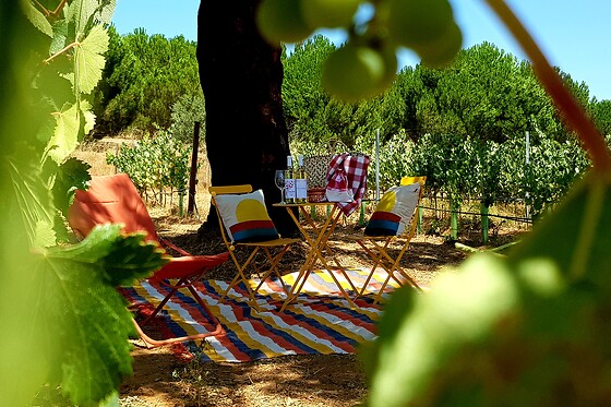 PicNic na Vinha para 2 | Herdade Canal Caveira (Grândola, Setúbal)