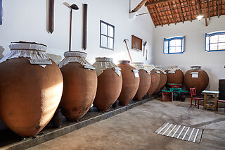 Visita com prova de 4 Vinhos + Tábua de queijos e enchidos para 2 | Adega das Flores (Reguengos de Monsaraz)