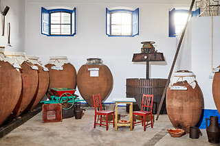 Visita com prova de 4 Vinhos + Tábua de queijos e enchidos para 2 | Adega das Flores (Reguengos de Monsaraz)