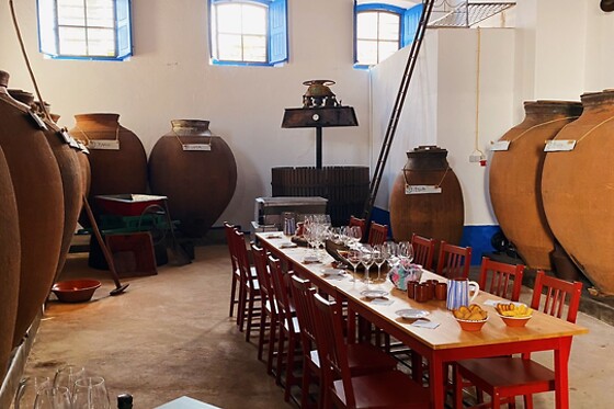 Visita com prova de 4 Vinhos + Tábua de queijos e enchidos para 2 | Adega das Flores (Reguengos de Monsaraz)