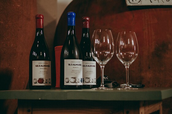 Visita com prova de 4 Vinhos + Tábua de queijos e enchidos para 2 | Adega das Flores (Reguengos de Monsaraz)