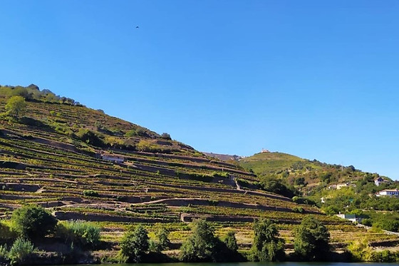 Cruzeiro das seis pontes para 2 no Rentdouro - Cruzeiros no Douro (Porto)