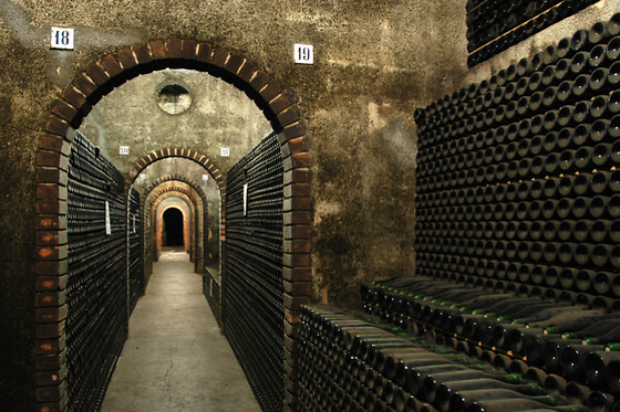 Prova de Vinhos Premium para 2 | Caves São João (Sangalhos, Anadia)