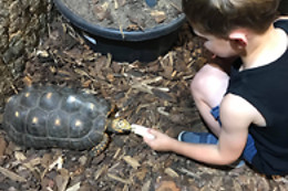 Mike's Reptipark