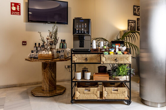 HOTEL SERRANO - photo 8
