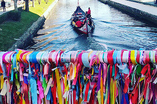 Conheça os canais da Ria de Aveiro a bordo do tradicional moliceiro com a Bikevento | 1 Pessoa