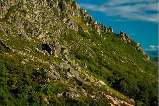 Passeio pedestre pelo Parque Nacional da Peneda-Gerês | Montes de Laboreiro - 1 pessoa (2h)