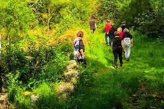 Passeio pedestre pelo Parque Nacional da Peneda-Gerês | Montes de Laboreiro - 1 pessoa (2h)