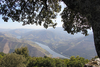 Cruzeiro das 6 pontes para 1 | Manos do Douro - Vila Nova de Gaia
