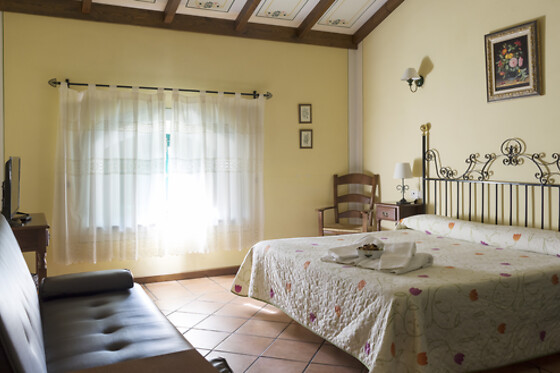 HOTEL RURAL SOTERRAÑA - photo 4