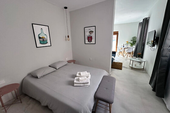 EUPHORBIA SUITES - photo 4