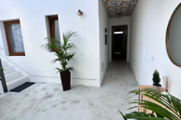 EUPHORBIA SUITES