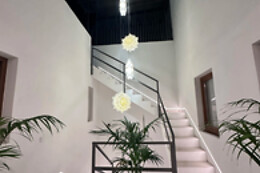 EUPHORBIA SUITES