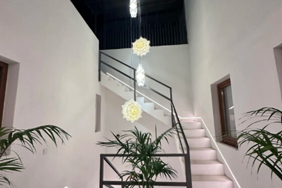 EUPHORBIA SUITES - photo 7