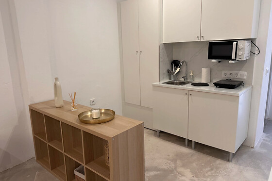 EUPHORBIA SUITES - photo 8
