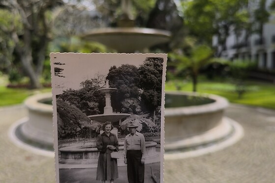 Blika - photo 19