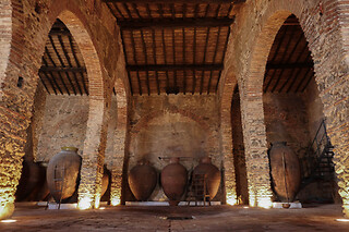 Um workshop de prova de vinhos com exercício de aromas para 1 em Cella Vinaria Antiqua by Honrado Vineyards em Vidigueira (Beja)