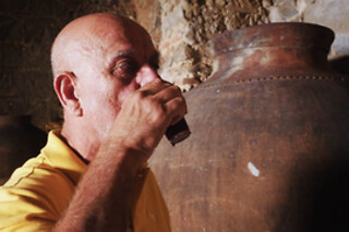 Um workshop de prova de vinhos com exercício de aromas para 1 em Cella Vinaria Antiqua by Honrado Vineyards em Vidigueira (Beja)