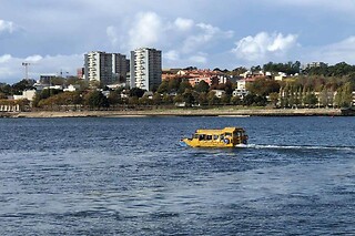 Um passeio turístico em anfíbio para 1 em Porto Duck Tours em Vila Nova de Gaia (Porto)