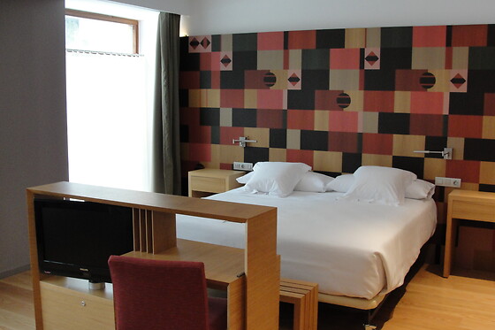 HOTEL RESORT BALNEARIO DE PANTICOSA - photo 25