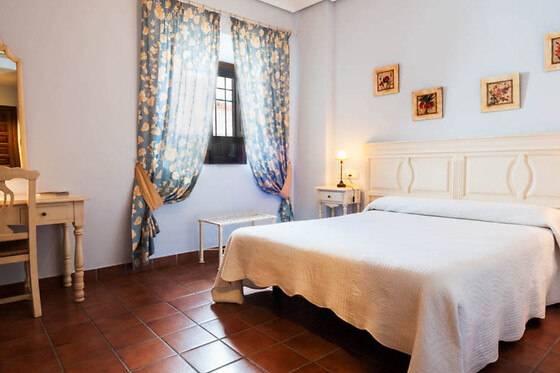 HOTEL PALACIO LAS MANILLAS - photo 6