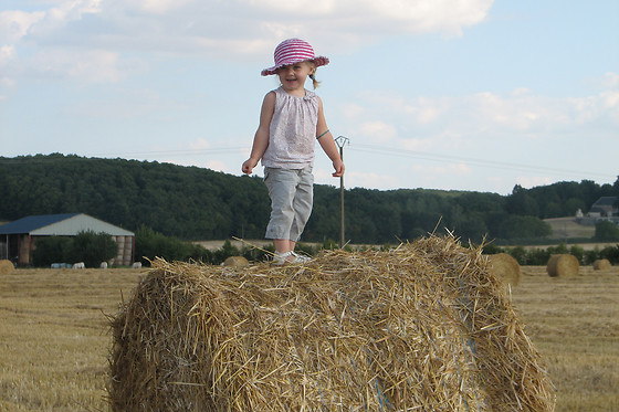 La Ferme des Pignons - photo 2