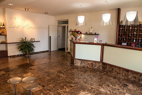 Online Booking EPS - photo 9