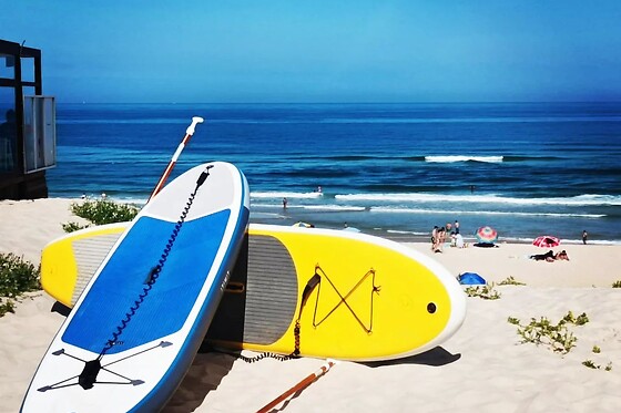 The Surfer's Place - photo 1