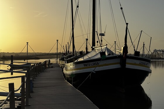 Comporta Experience - photo 15