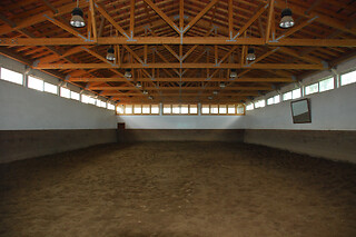 Baptismo a cavalo/pónei para 2 adultos + 2 crianças | Picadeiro Quinta do Vale (Aveiras de Cima, Lisboa)