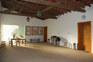 Baptismo a cavalo/pónei para 2 adultos + 2 crianças | Picadeiro Quinta do Vale (Aveiras de Cima, Lisboa)
