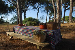 PICADEIRO QUINTA DO VALE