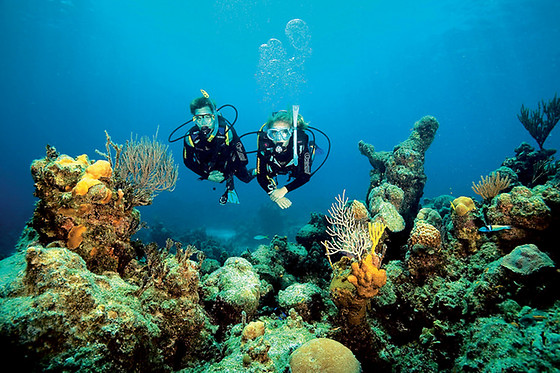 TOSSASUB DIVING CENTER - photo 0
