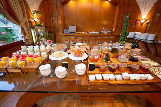 HOTEL GRÈVOL SPA - photo 19