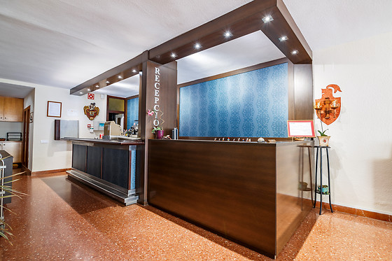 HOTEL BLASÓN JUNIOR - photo 1