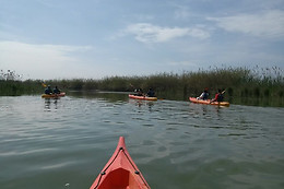 PARC D'AVENTURA I NATURA DELTAVENTUR