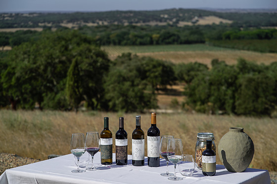 Herdade de Coelheiros - photo 3