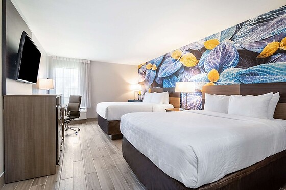 Online Booking EPS - photo 9