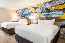 Online Booking EPS