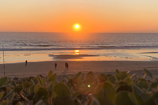 Marisco com Vista Mar para 2 | Marisqueira Sotavento, Praia da Fonte da Telha (Costa da Caparica)
