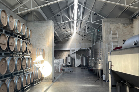 Prova de 2 vinhos 