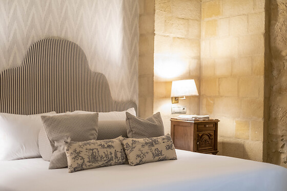 HOTEL CETINA PALACIO DE LOS SALCEDO - photo 14