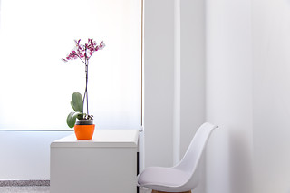 Massagem terapêutica shiatsu para 1 | Ponte d'Equilíbrio - Seixal (Setúbal)