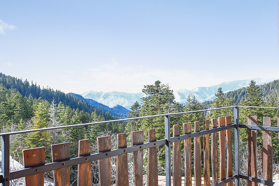 Les Chamois - photo 3