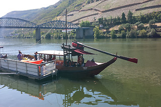 Agroturismo no Douro a Dois | 2 noites + pequeno-almoço | Casa da Trigueira - Vila Real