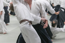 Aïkido Shugyo Dojo Brabant Wallon