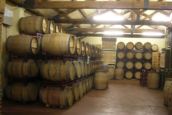 BODEGAS SANTOS ARRANZ - photo 3