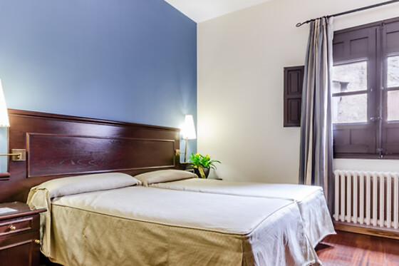 HOTEL ALBARRACIN - photo 7