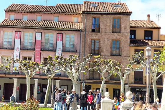 VISITA ALCALÁ - photo 1