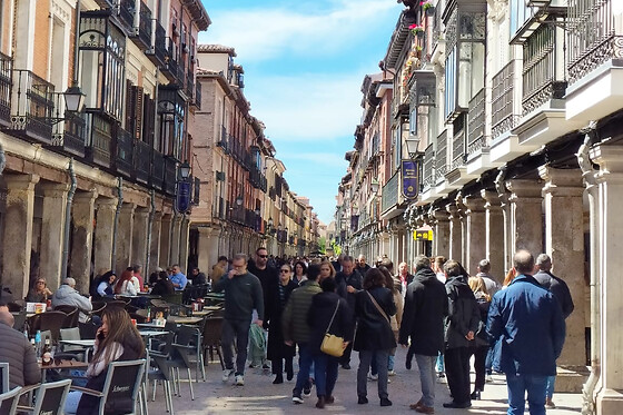 VISITA ALCALÁ - photo 6